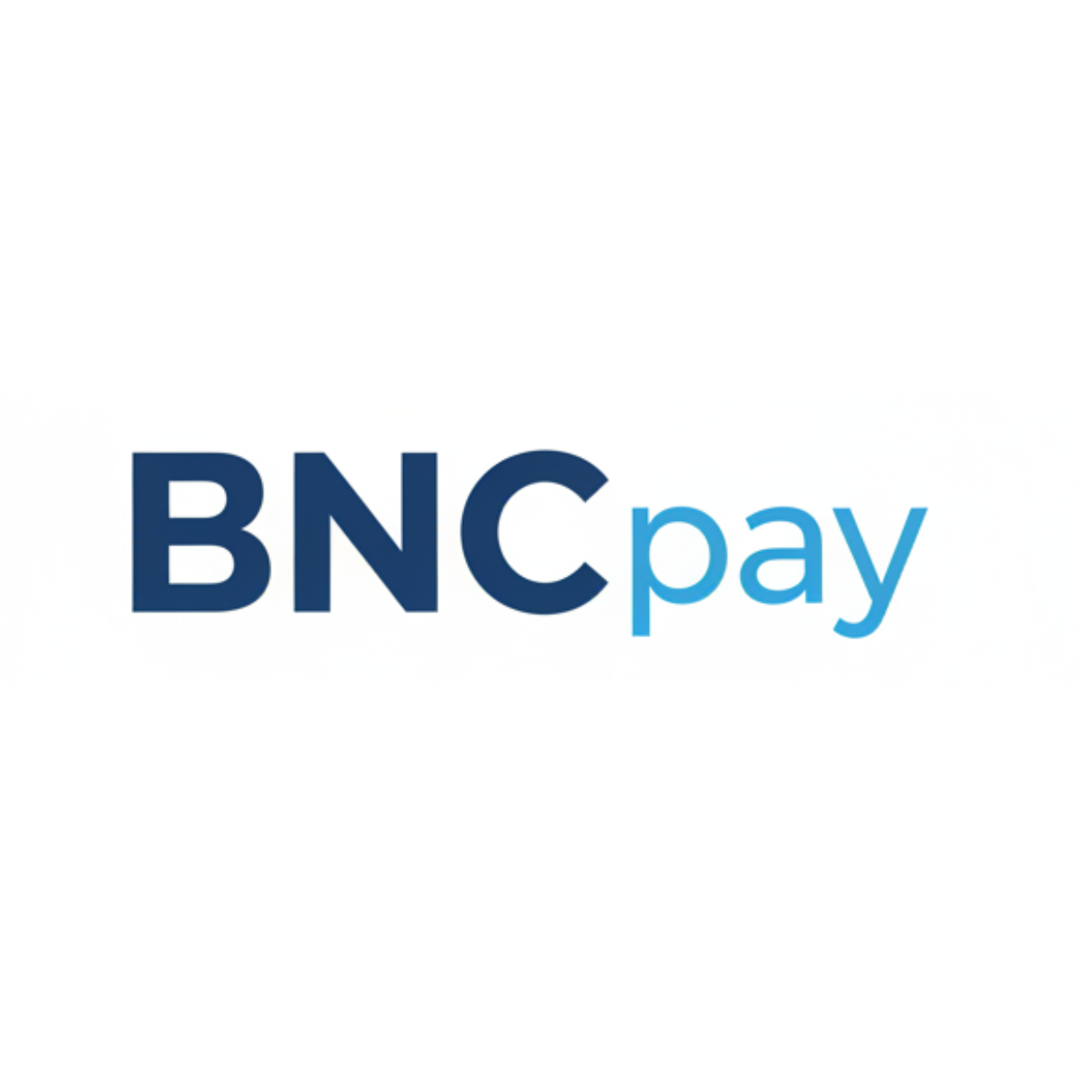 BNCPay Equipment Financing